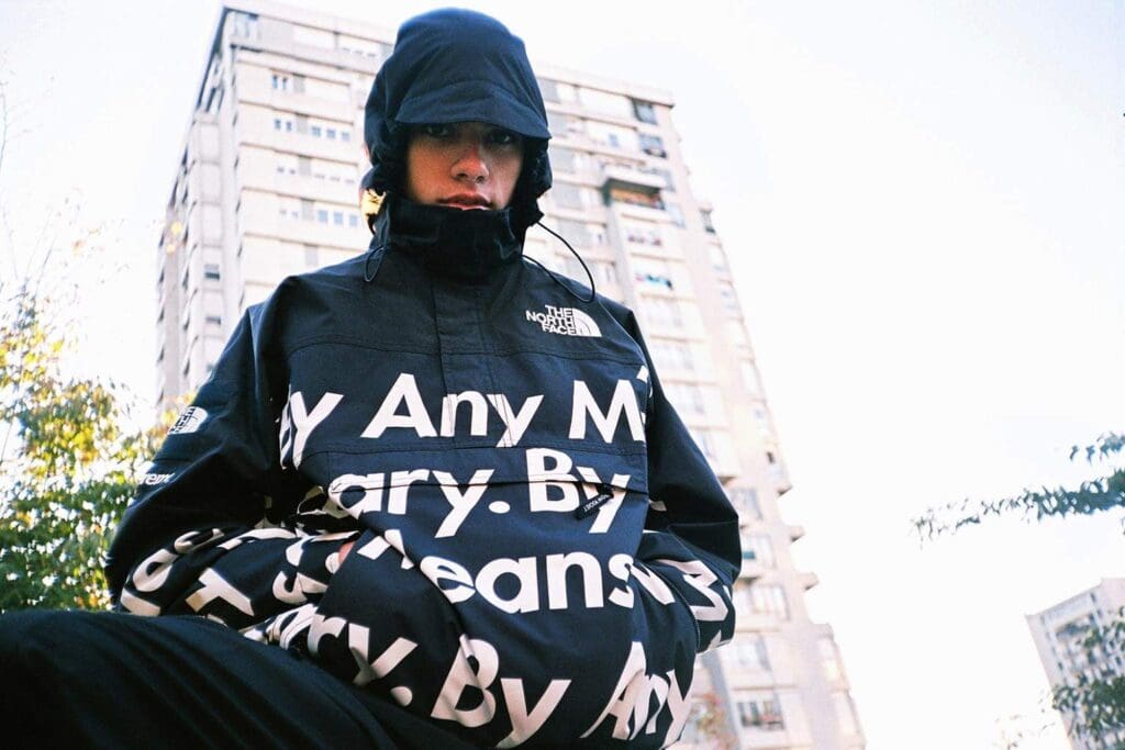 supreme the north face