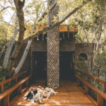 villa 5
