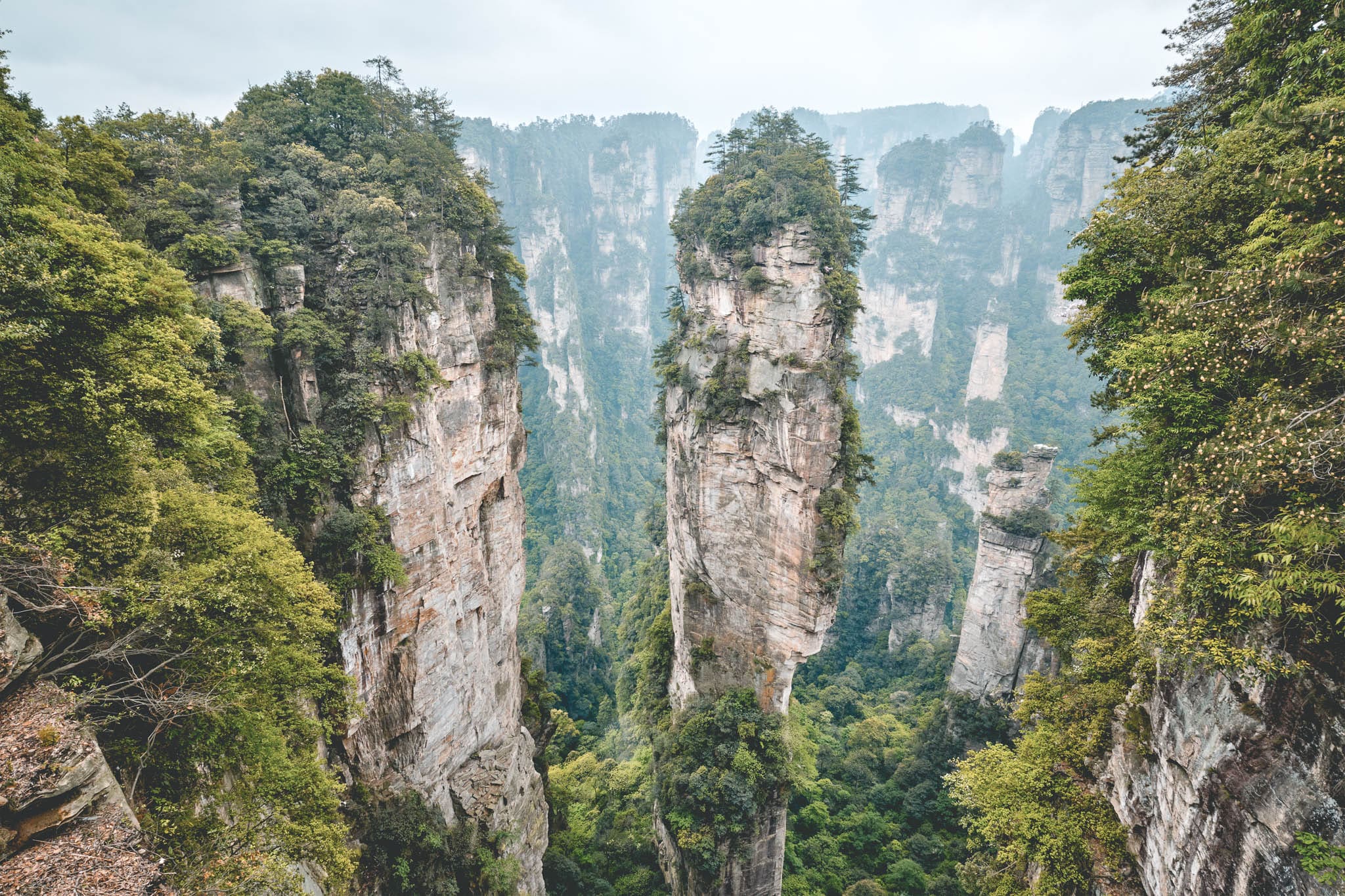 Must-visit: de ‘Avatar-zuilen’ van Zhangjiajie