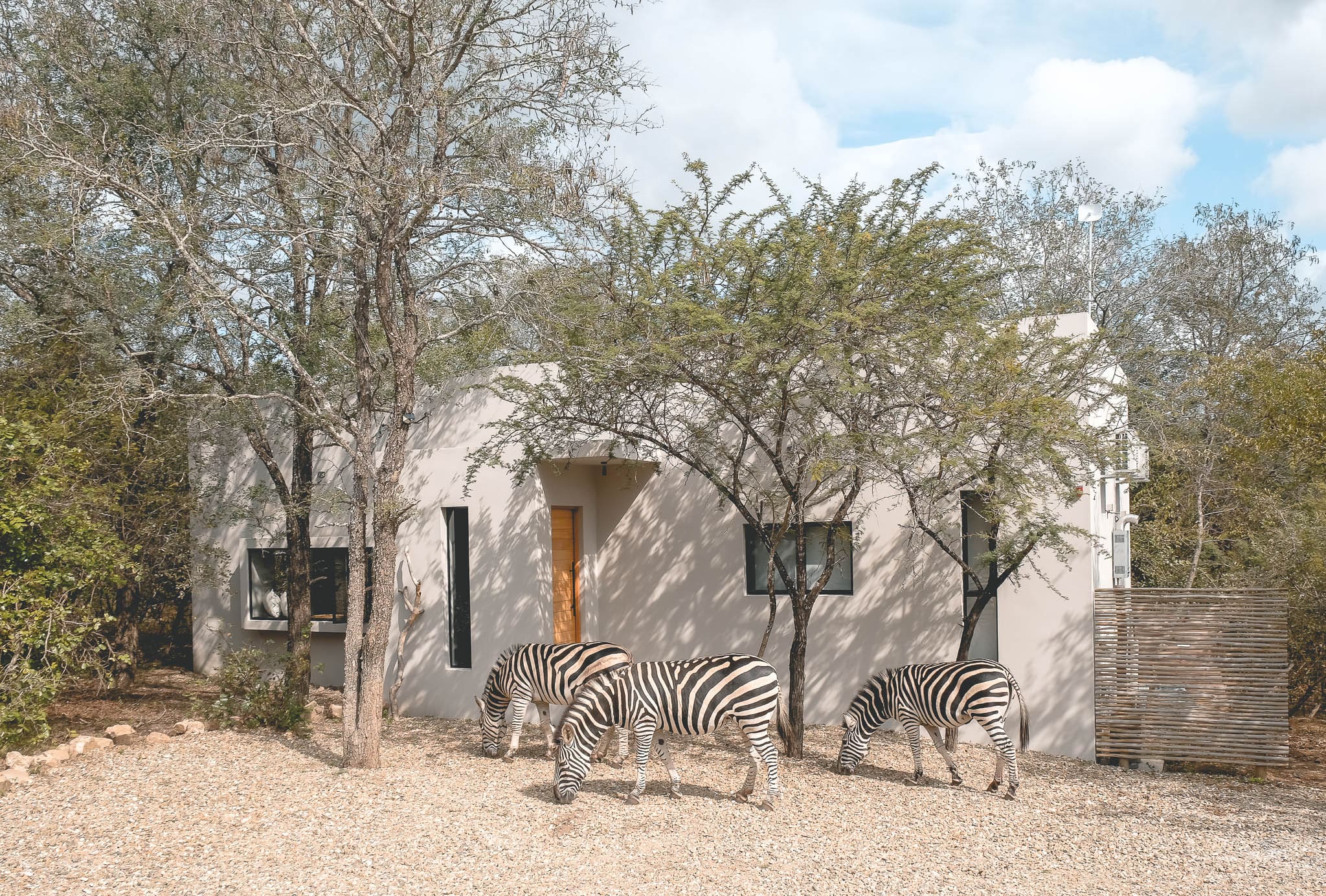 The Big Five, <strong>Airbnb Finds:</strong> the big five spotten vanuit je achtertuin in Zuid-Afrika