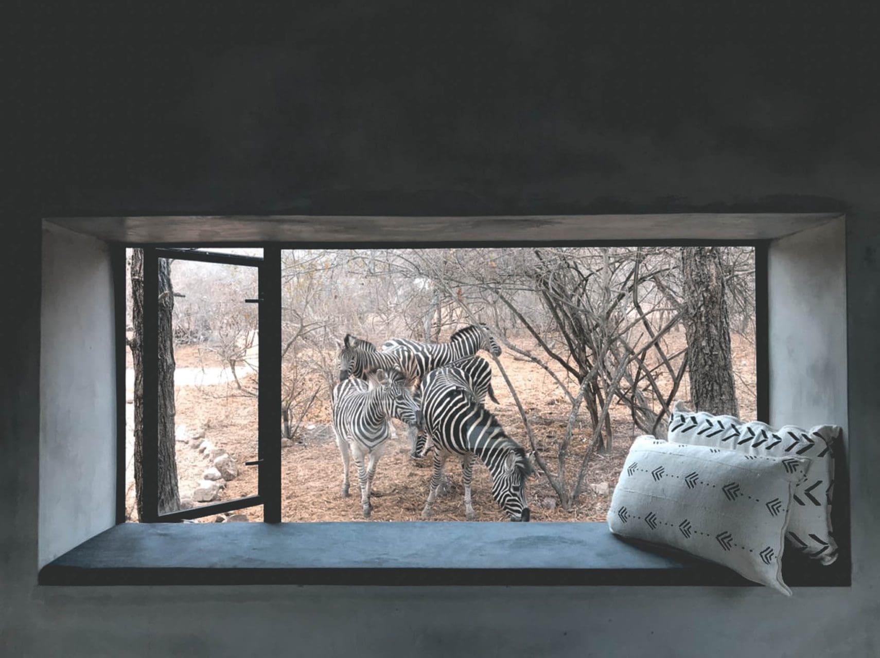 The Big Five, <strong>Airbnb Finds:</strong> the big five spotten vanuit je achtertuin in Zuid-Afrika