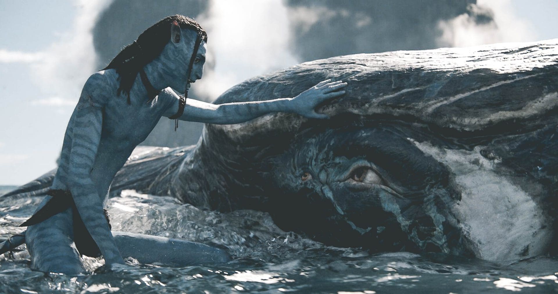 Avatar: The Way of Water, Blauw schouwspel op het doek en bij de tickets: <strong>Avatar: The Way of Water scoort</strong>