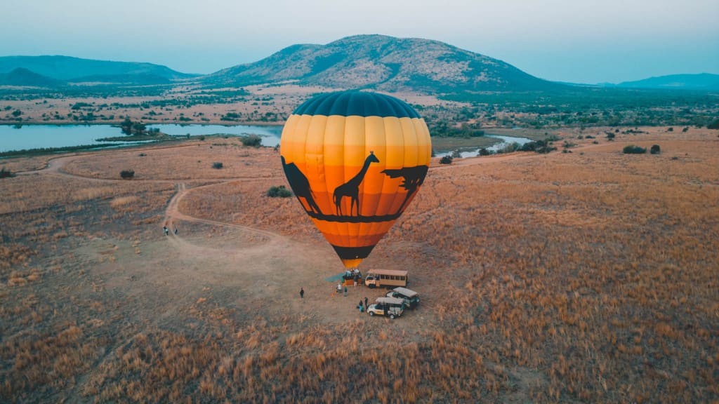 The Big Five, maar dan anders: 5 x een Zuid-Afrikaanse safaritour op unieke wijze