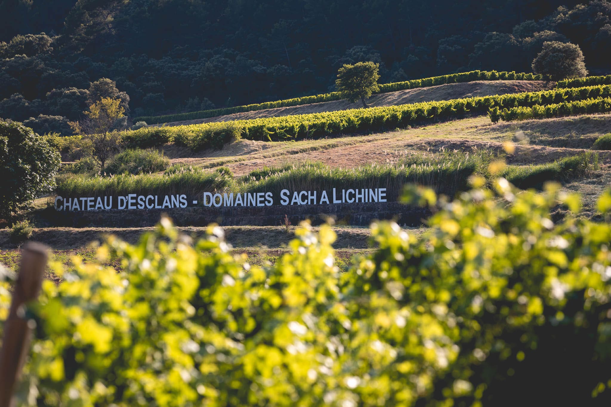 Château d'Esclans, Tijd om <strong>seizoensgebonden wijntradities</strong> te doorbreken