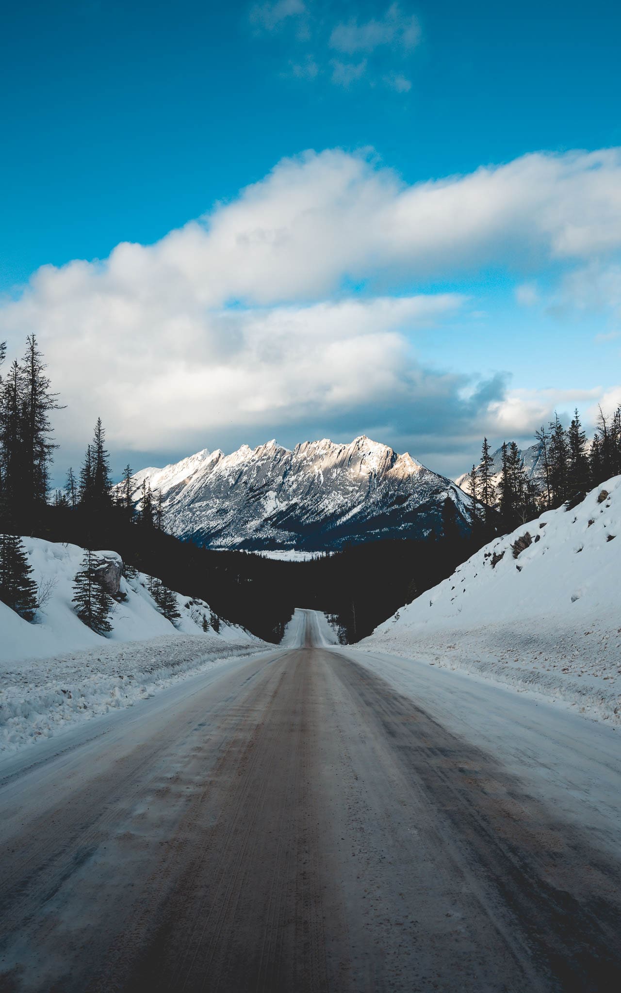 , De Canadese Rockies-sneeuwtrip: <strong>Edmonton en Jasper National Park</strong>