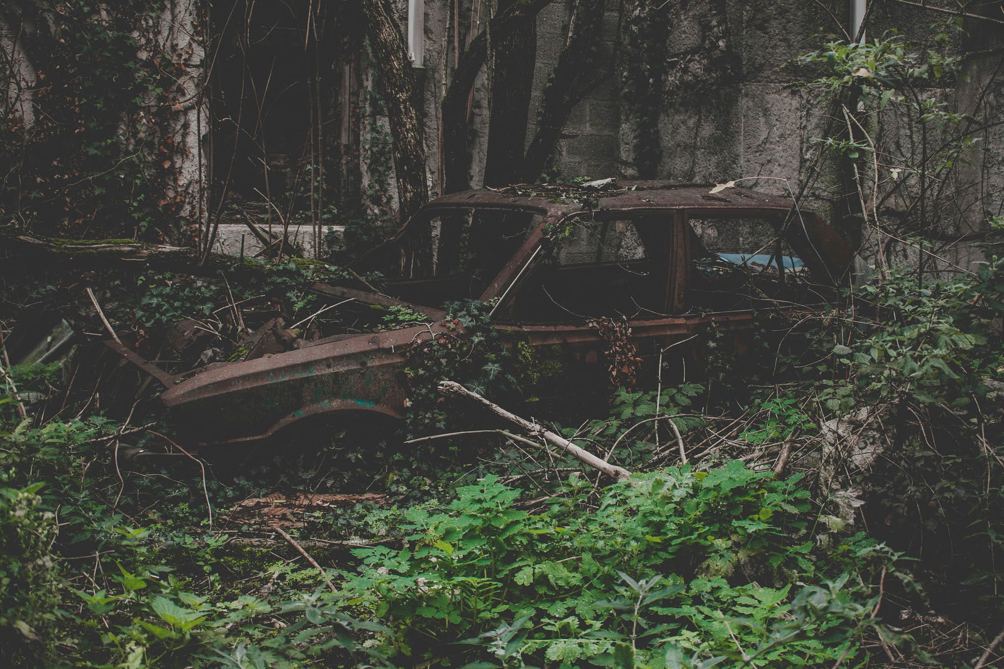 Must-watch: Zweeds autokerkhof heerlijk in beeld gebracht