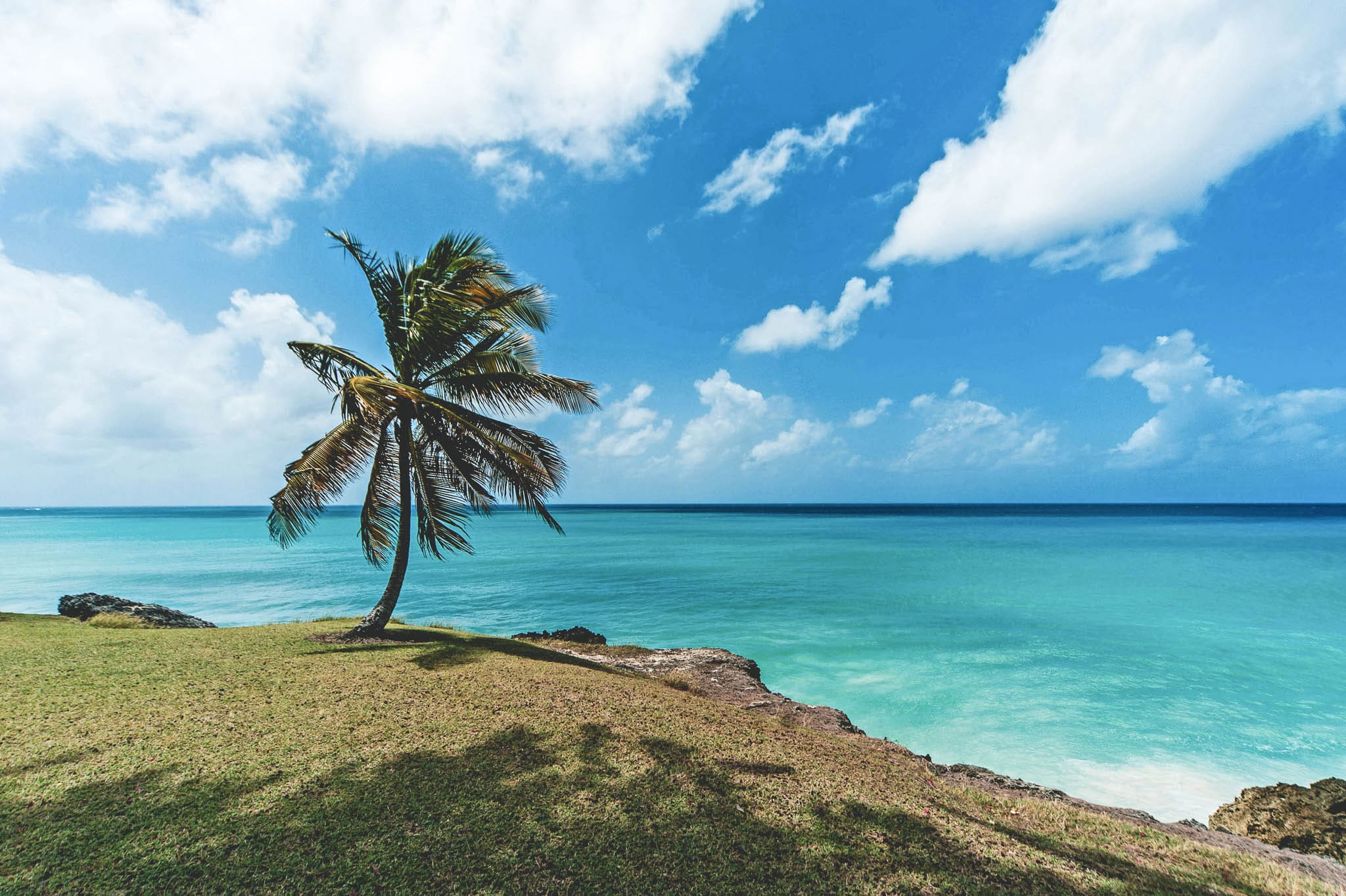 De hidden gems van Barbados