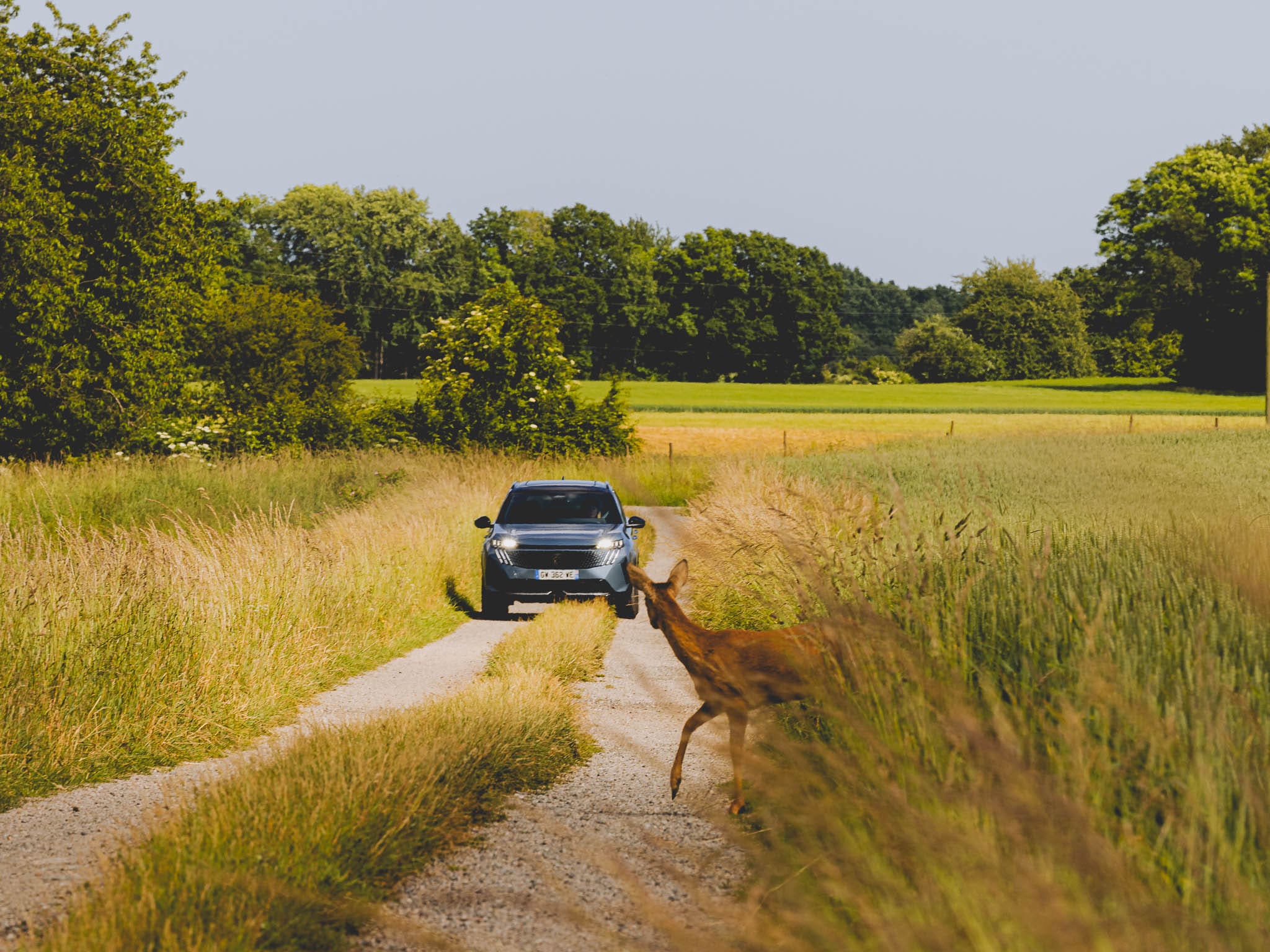 Scandinavische roadtrip met de esthetische zevenklapper van Peugeot