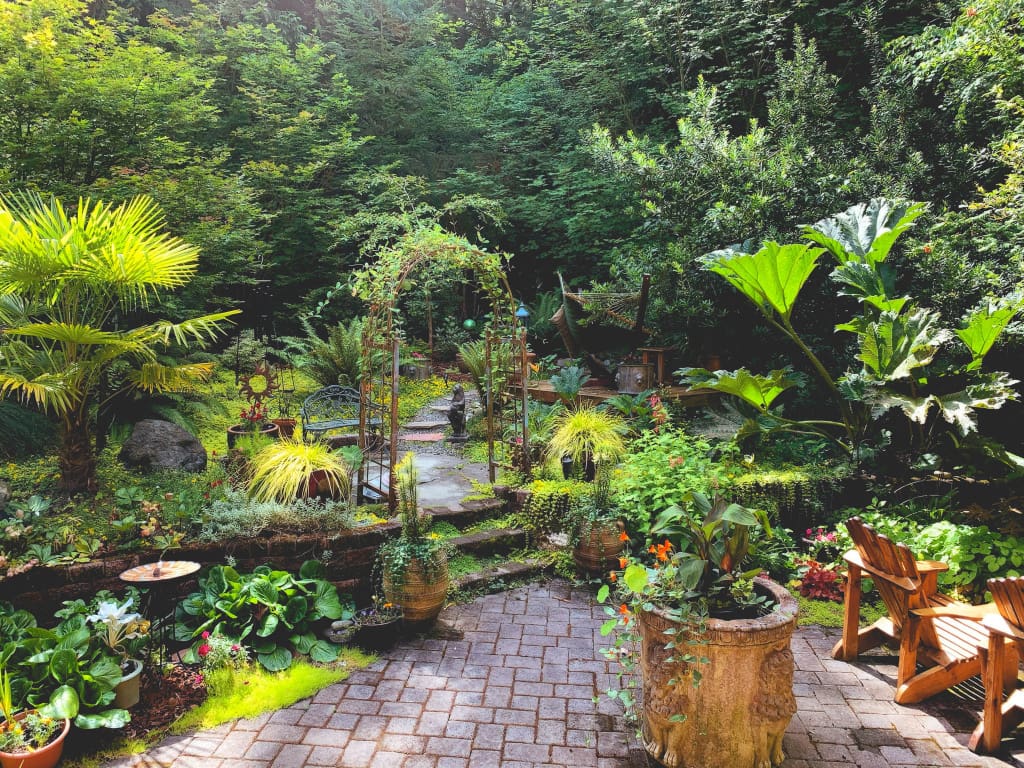 Filmmateriaal in de tuinwereld