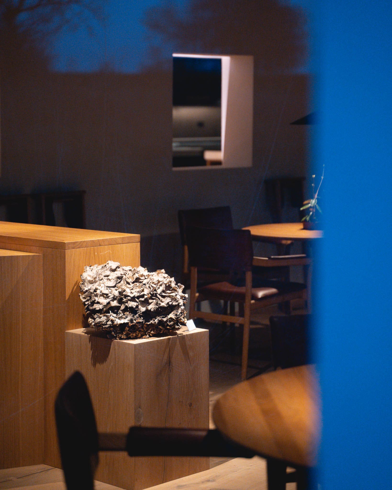 , Swedish Greatest Place: <strong>VYN</strong>