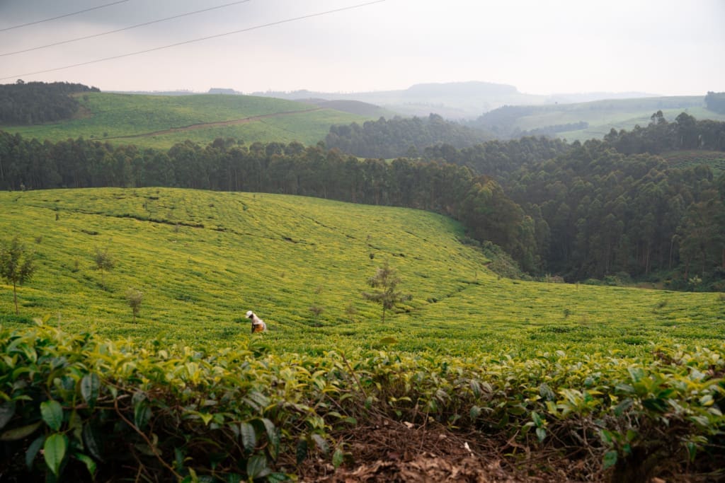 (Tien)duizenden verhalen in The Land of a Thousand Hills (Tien)duizenden verhalen in The Land of a Thousand Hills