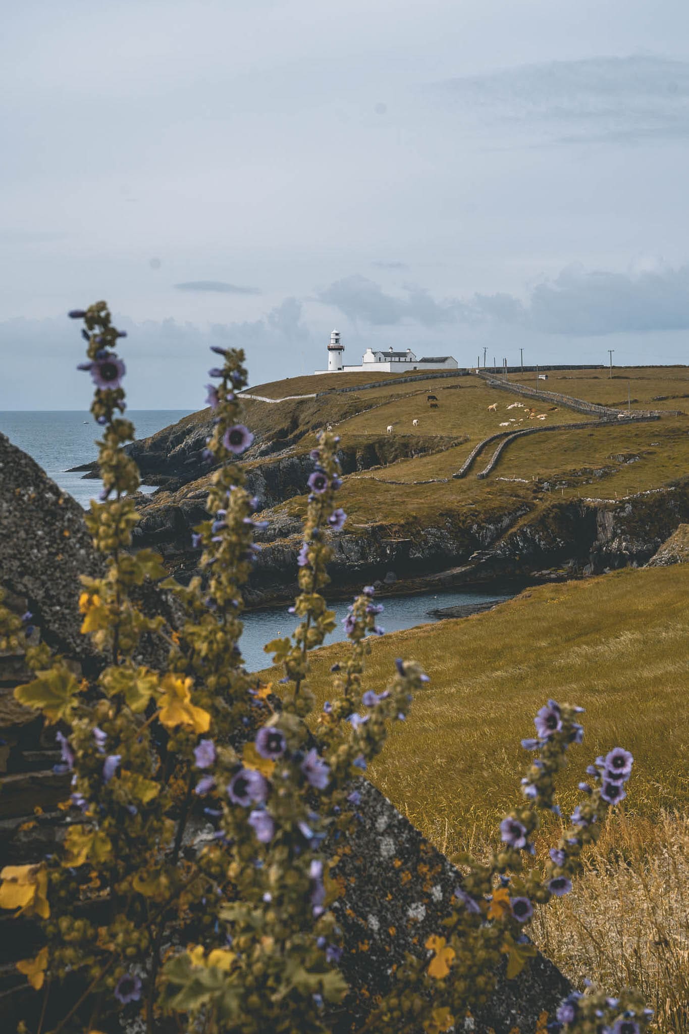 , In beeld: <strong>mytisch Ierland</strong>