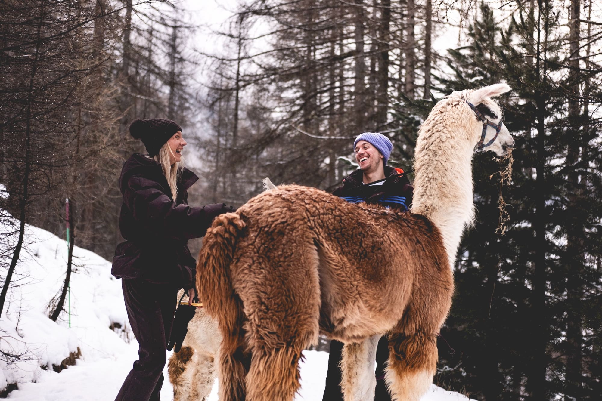 , <strong>Livigno:</strong> culinaire parel in de Italiaanse Alpen