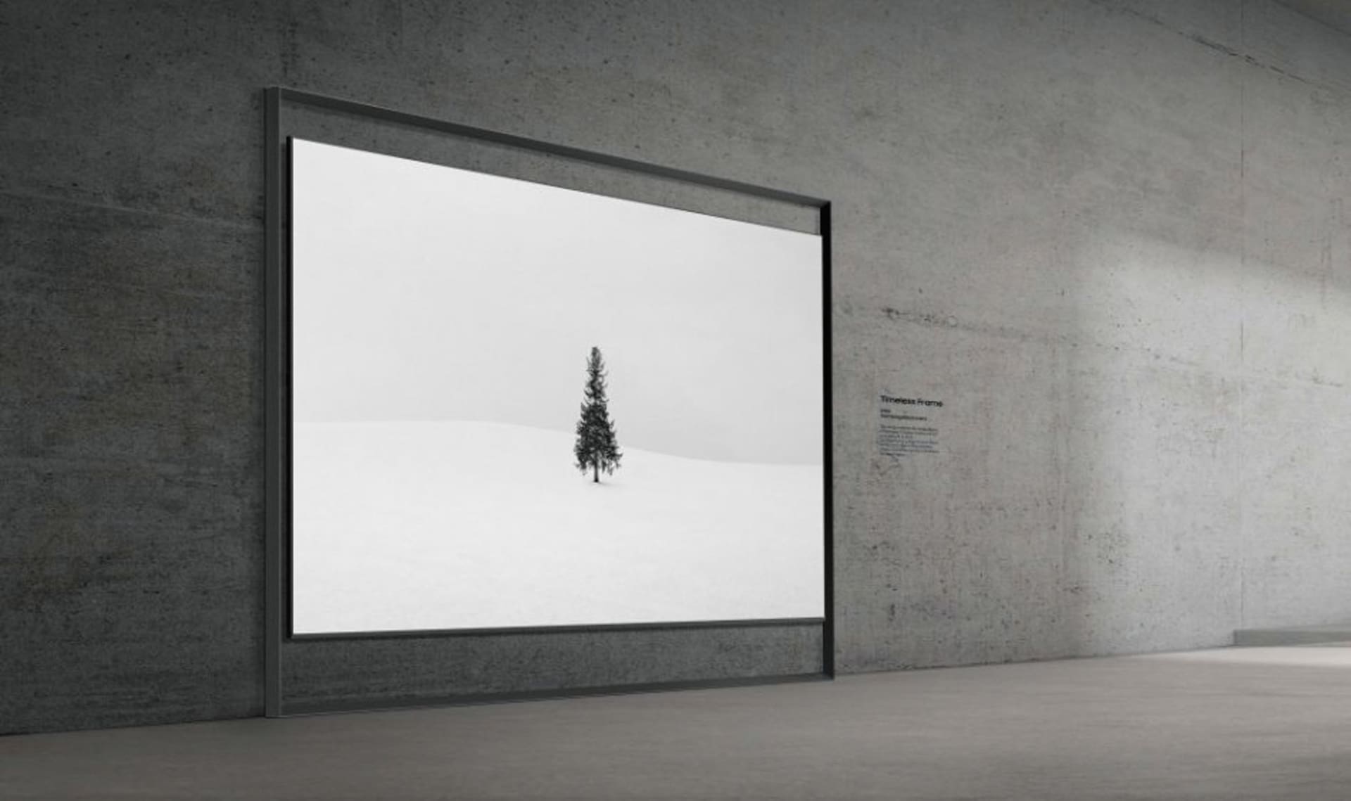 Samsung Timeless Frame