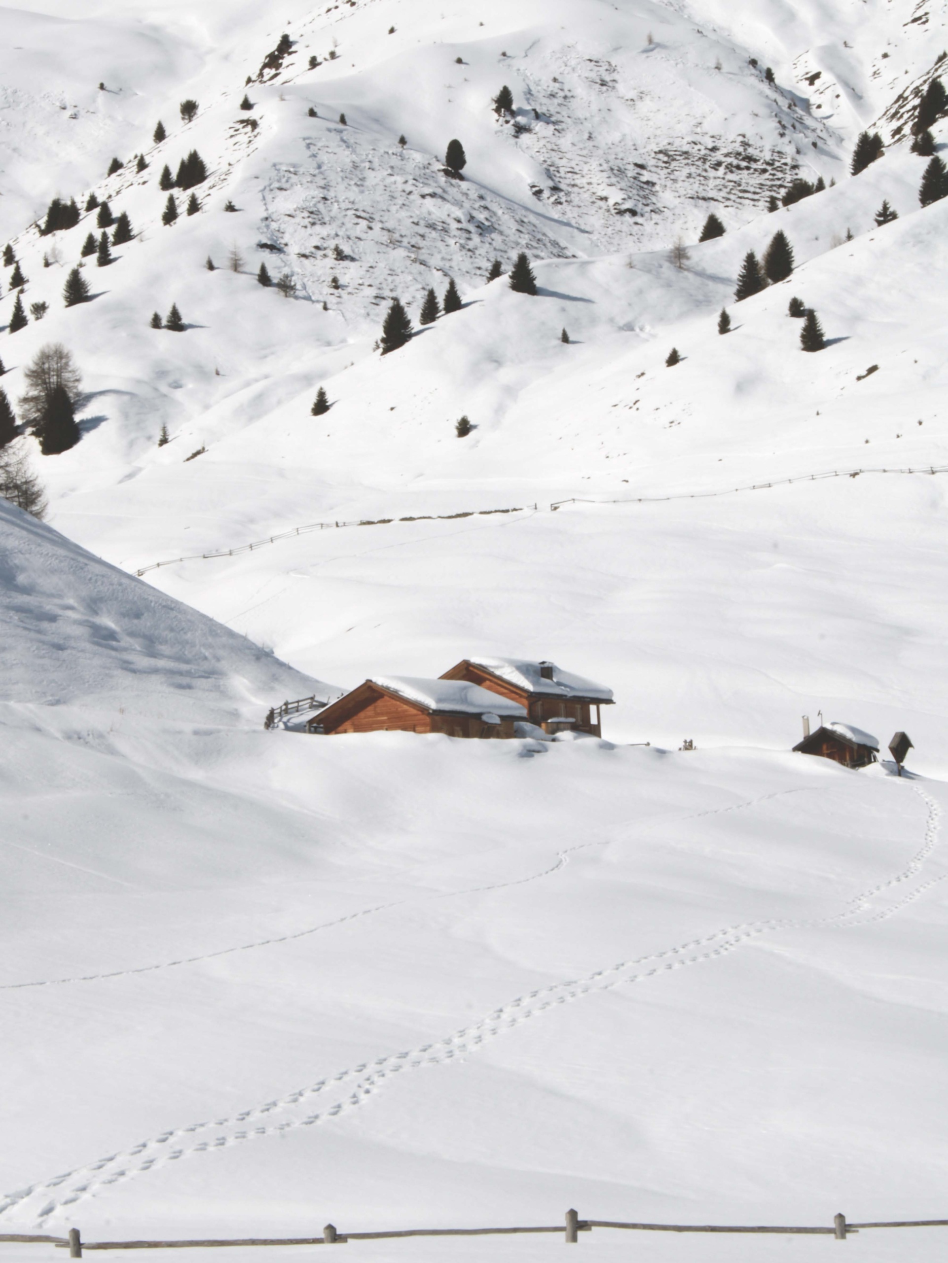 Zuid-Tirol, Zuid-Tirol: de regio waar winter- en zomervakantie samenkomen