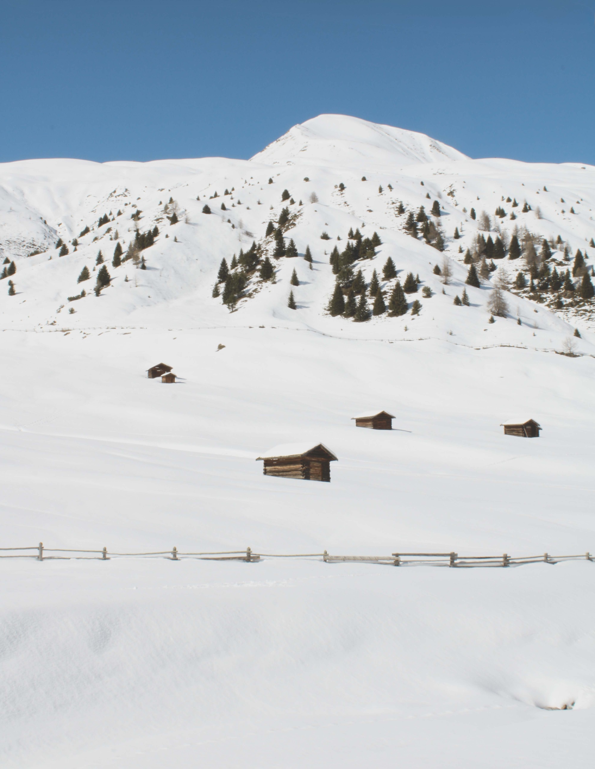 Zuid-Tirol, Zuid-Tirol: de regio waar winter- en zomervakantie samenkomen