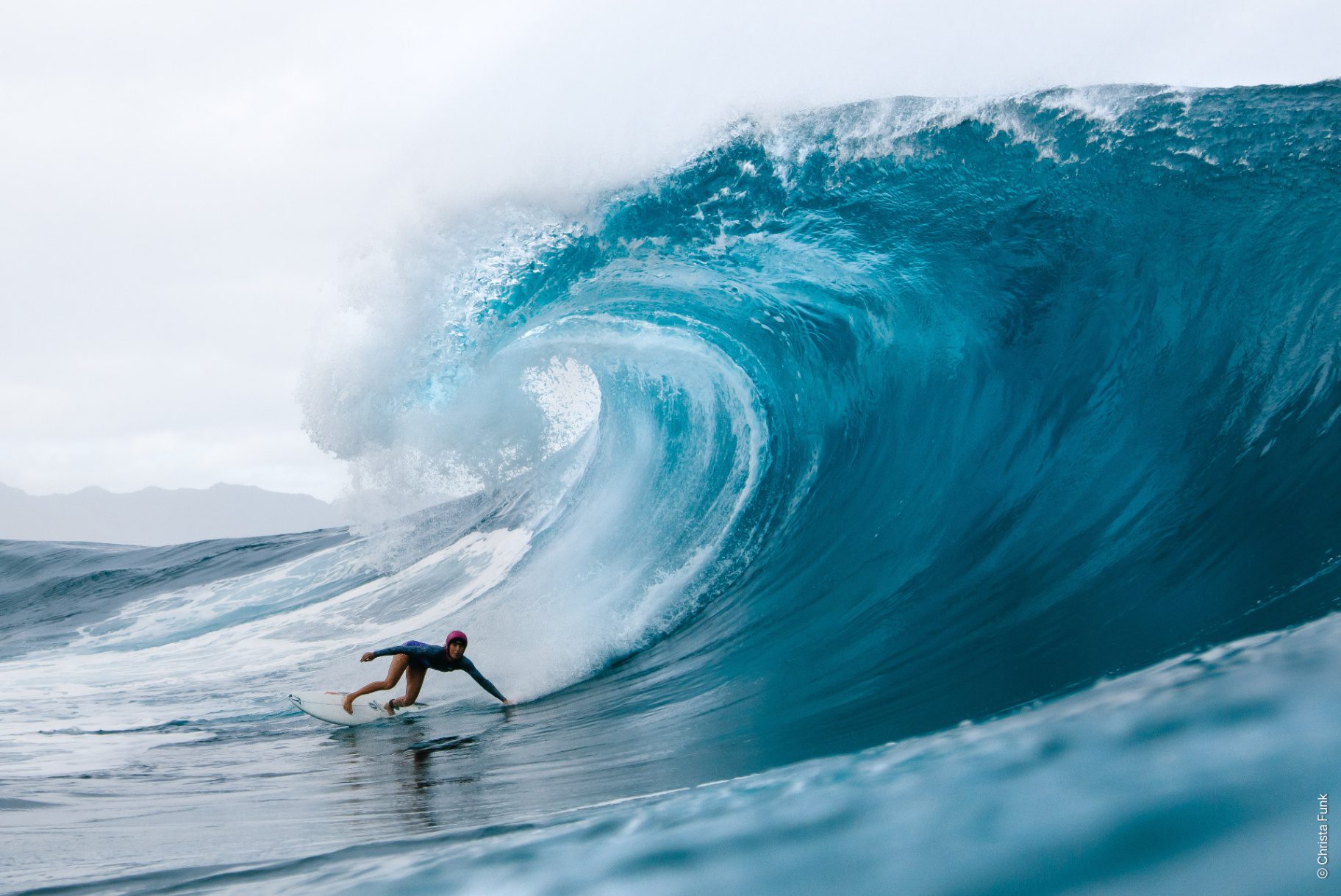 De International OCEAN FILM TOUR komt naar Nederland: Deze docs moet je zien